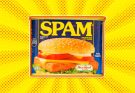 HT10. What Is SPAM and What Does SPAM Stand For?