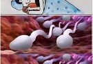 ❤️❤️ Studies reveal that swallowing your partner’s semen… See more 👇